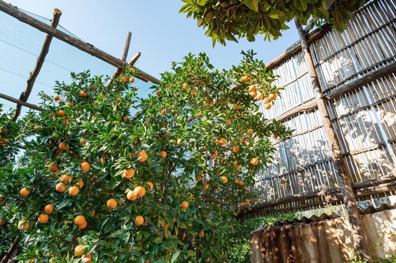 Hotel Pane e Marmellata Sant'Agnello Esterno foto