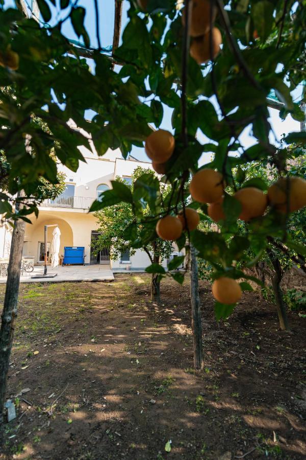 Hotel Pane e Marmellata Sant'Agnello Esterno foto